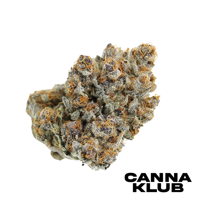 JOKERS WILD 3.5G LIVING SOIL ORGANIC *SPECIAL* - 3.5g in Luzerne