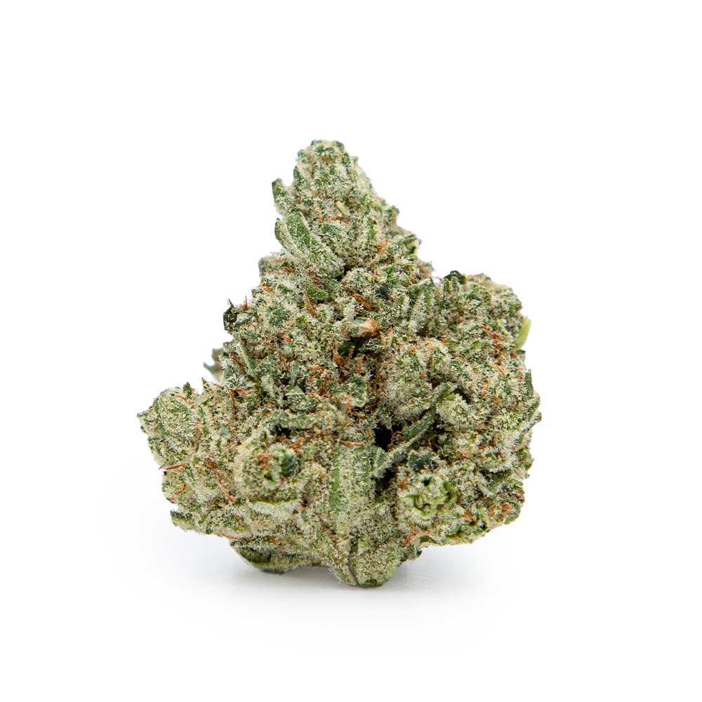 GRASSHOPPER GLUE 28G SUNKISSED - 28g in Luzerne
