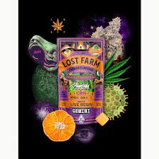 ORANGE N DREAMS GEMINI CBN