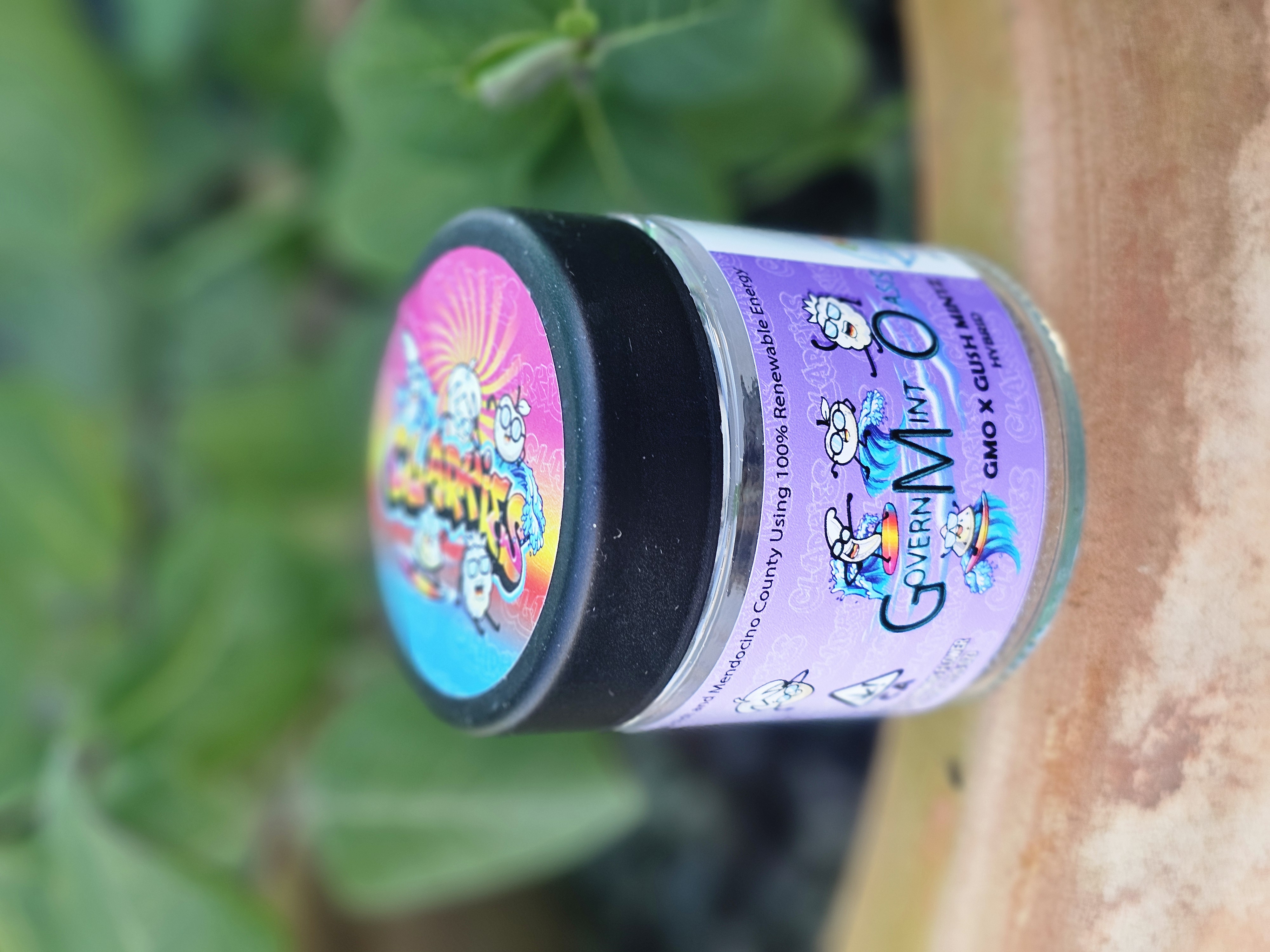 Clarkies - GOVERNMENT OASIS