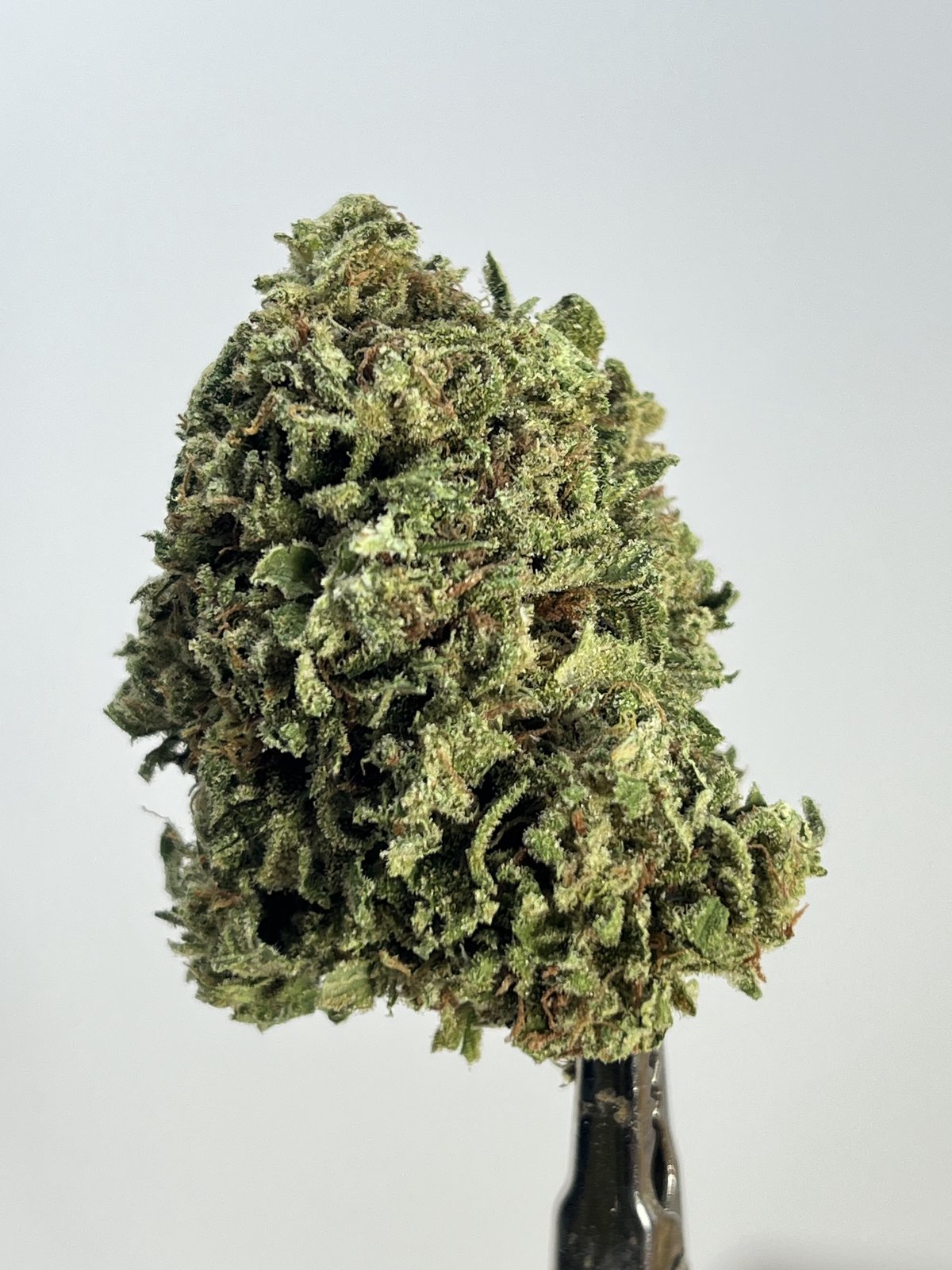 GUERRILLA HAZE - 3.5 g