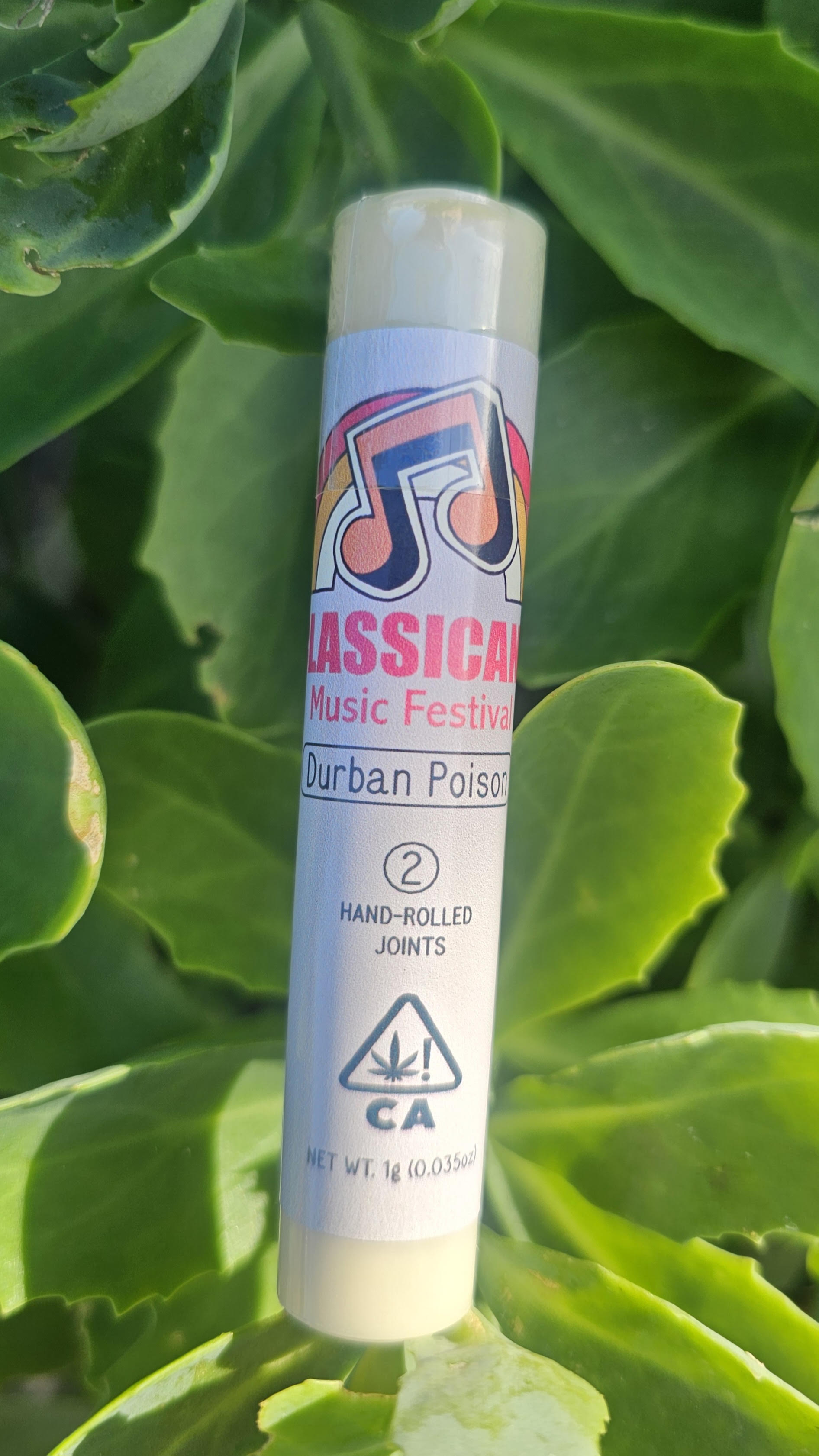 CLASSICANN DURBAN POISON 2PK - 1 g