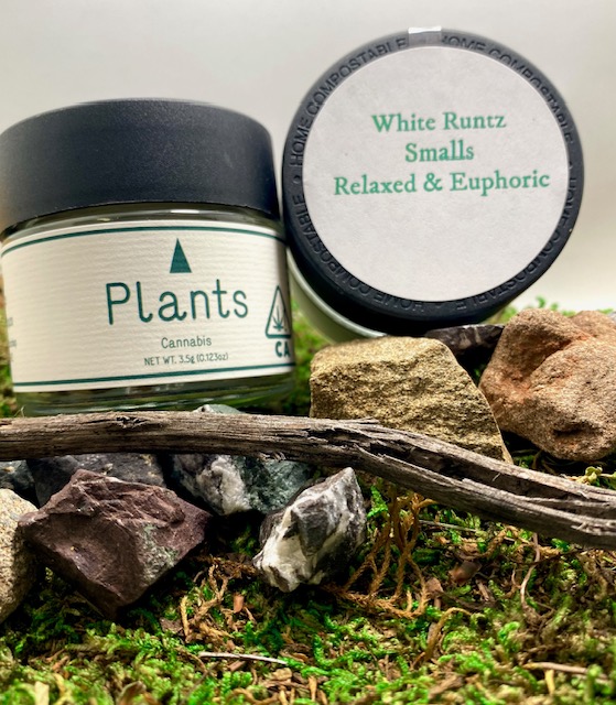 Plants - WHITE RUNTZ SMALLS 3.5G