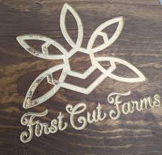 GARLIC COOKIES - 28 g