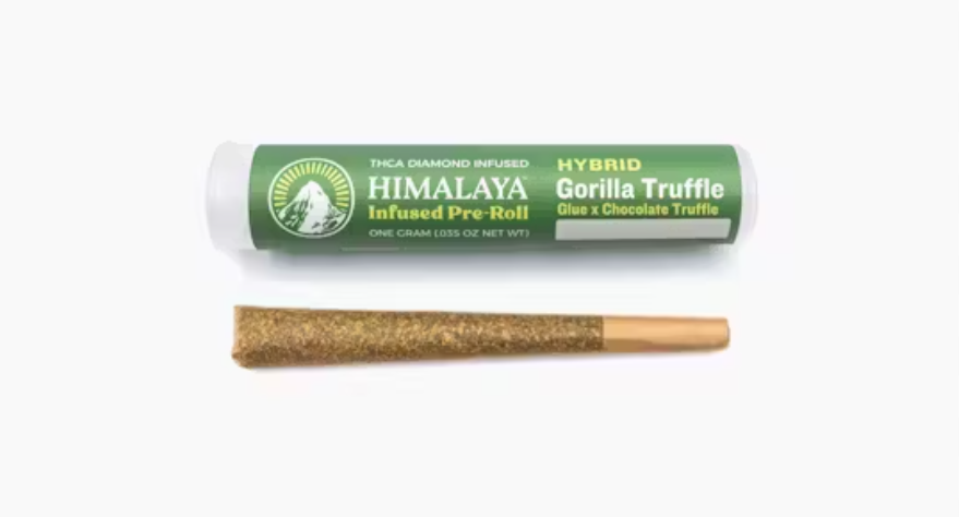Himalaya - GORILLA TRUFFLE