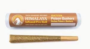 Himalaya - POISON GUSHERS - 1 g Main Image