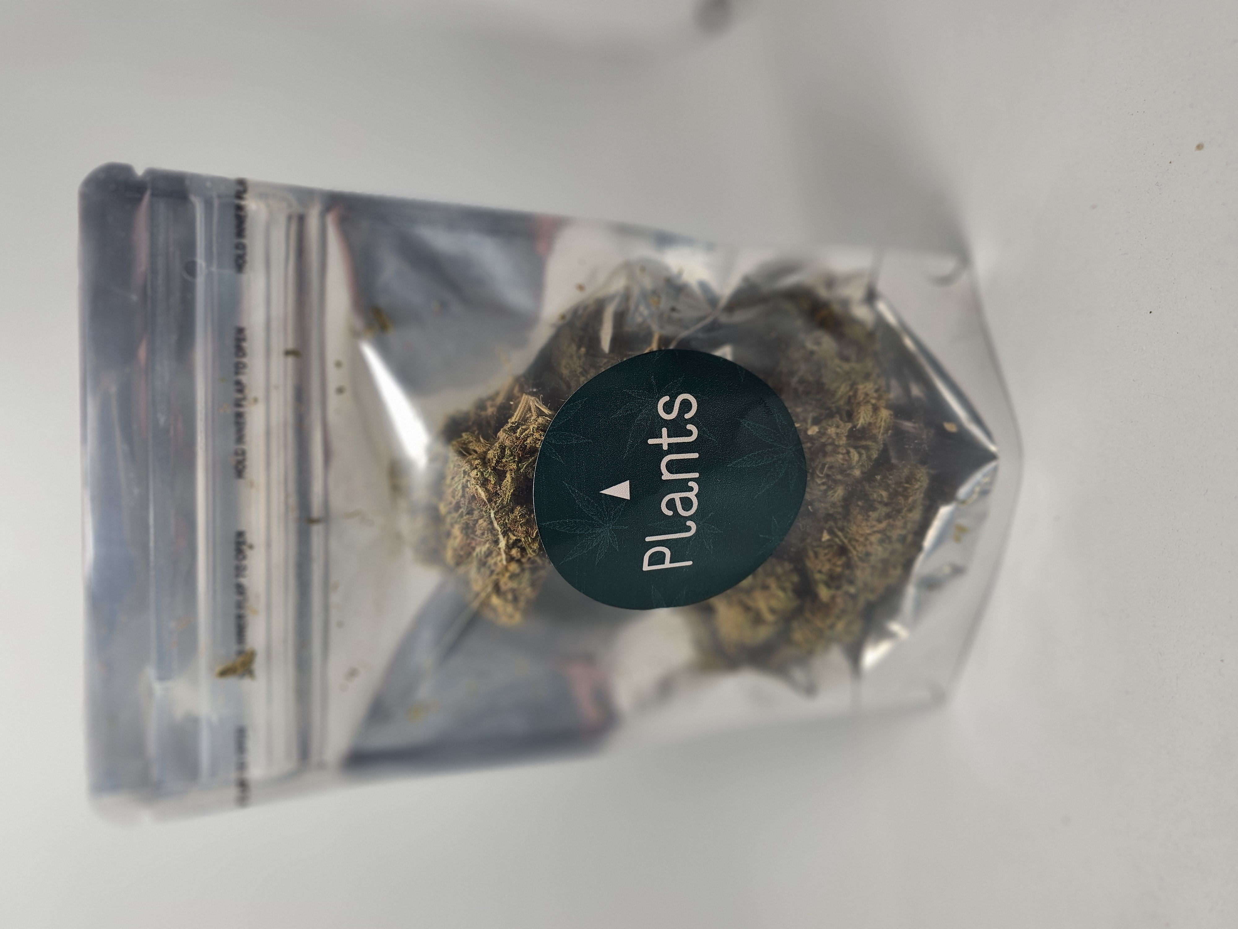 Plants - PLANTS X FIRST CUT FARMS GARLIC COOKIES 14 G