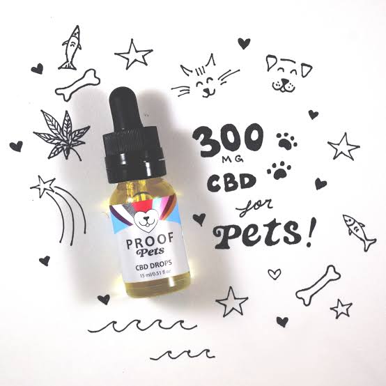 PETS CBD DROPS - 300 mg