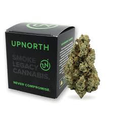 MAUI WOWIE