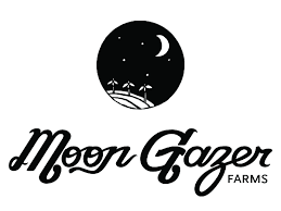 Moon gazer - MAGIK MOONBEAM
