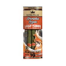 King palm - PUMPKIN CREAM 2PK