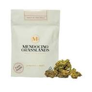 HEADBAND - 28 g