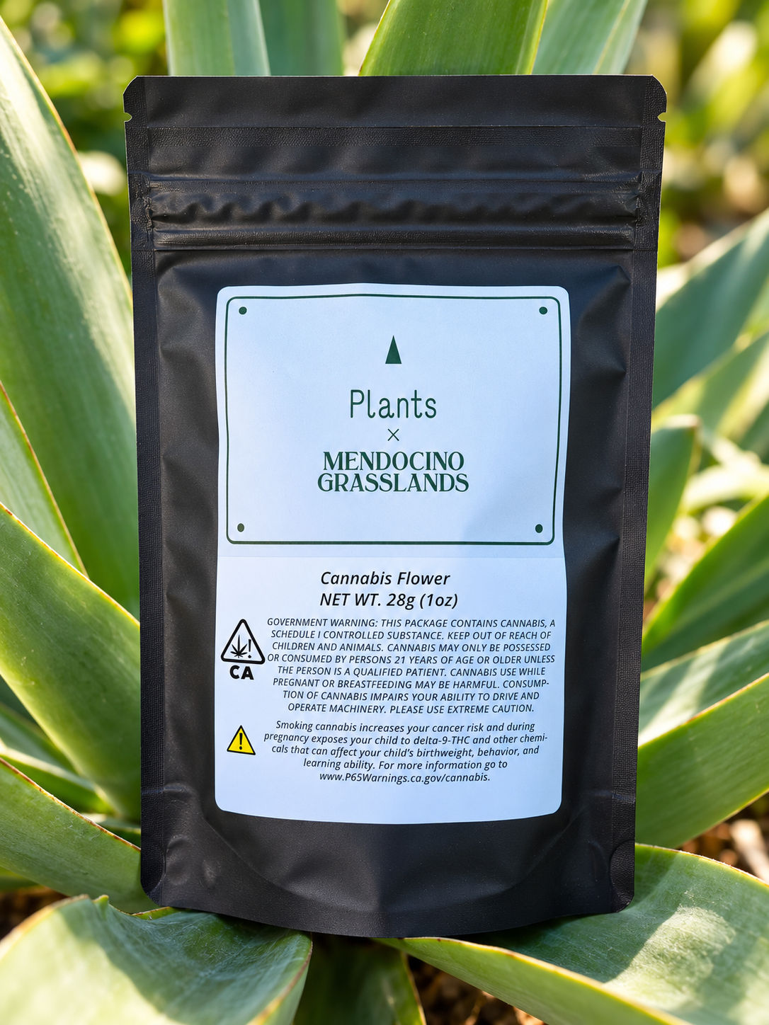 PLANTS X MGL SASSO COOKIES SMALLS - 28 g