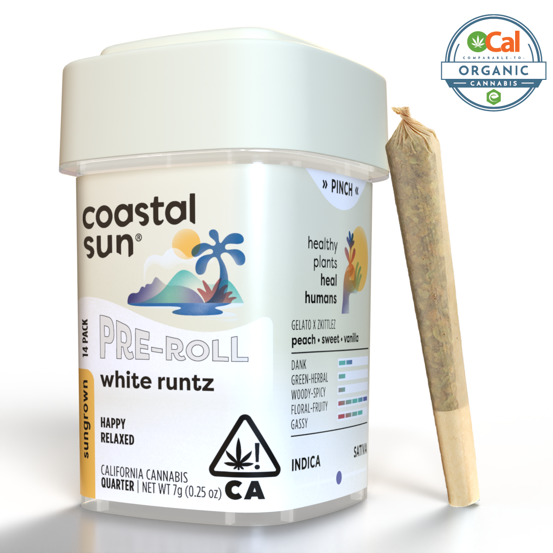 COASTAL SUN - White Runtz (H) pre-roll 14 pack - 7 g