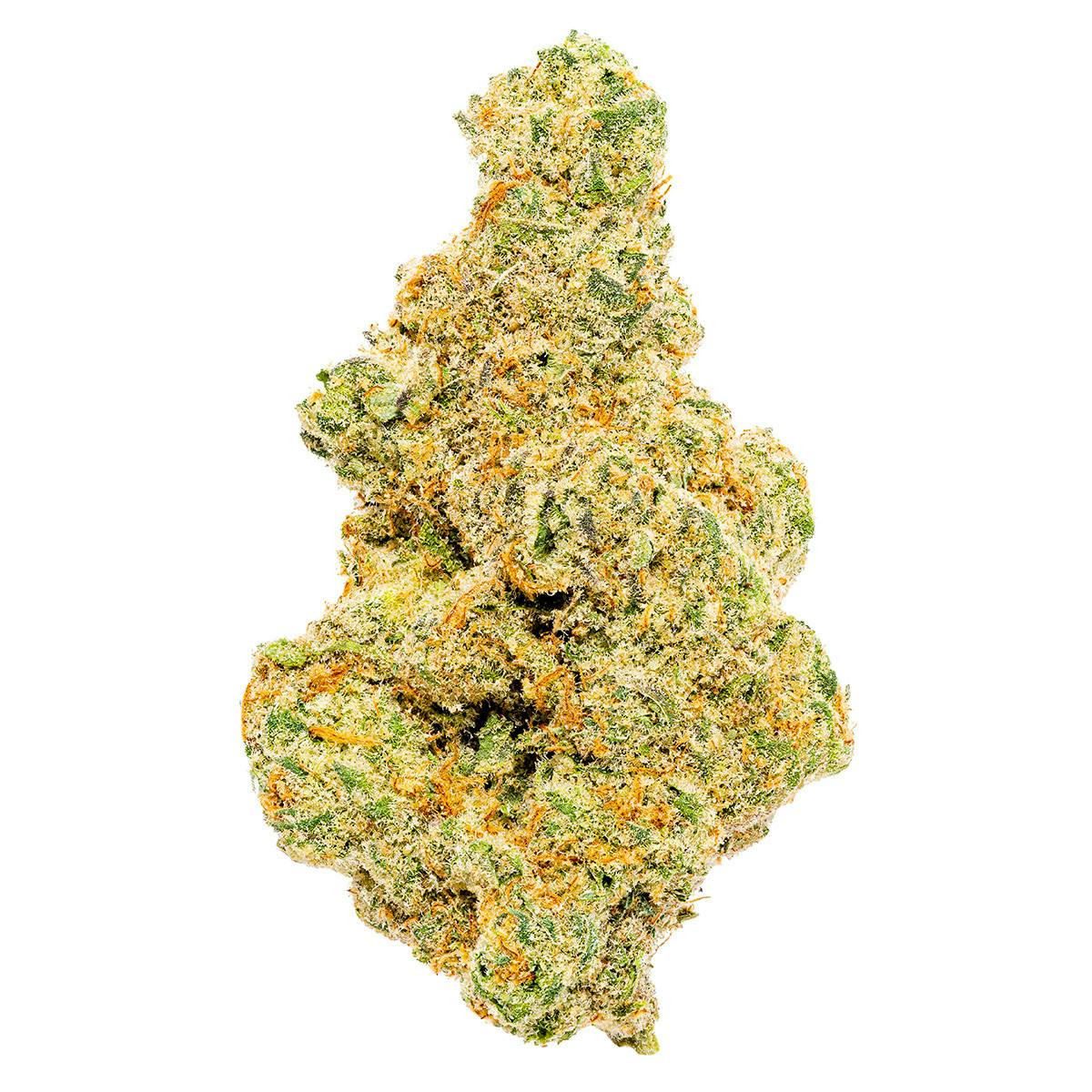 SUMMER PAPAYA | BULK FLOWER