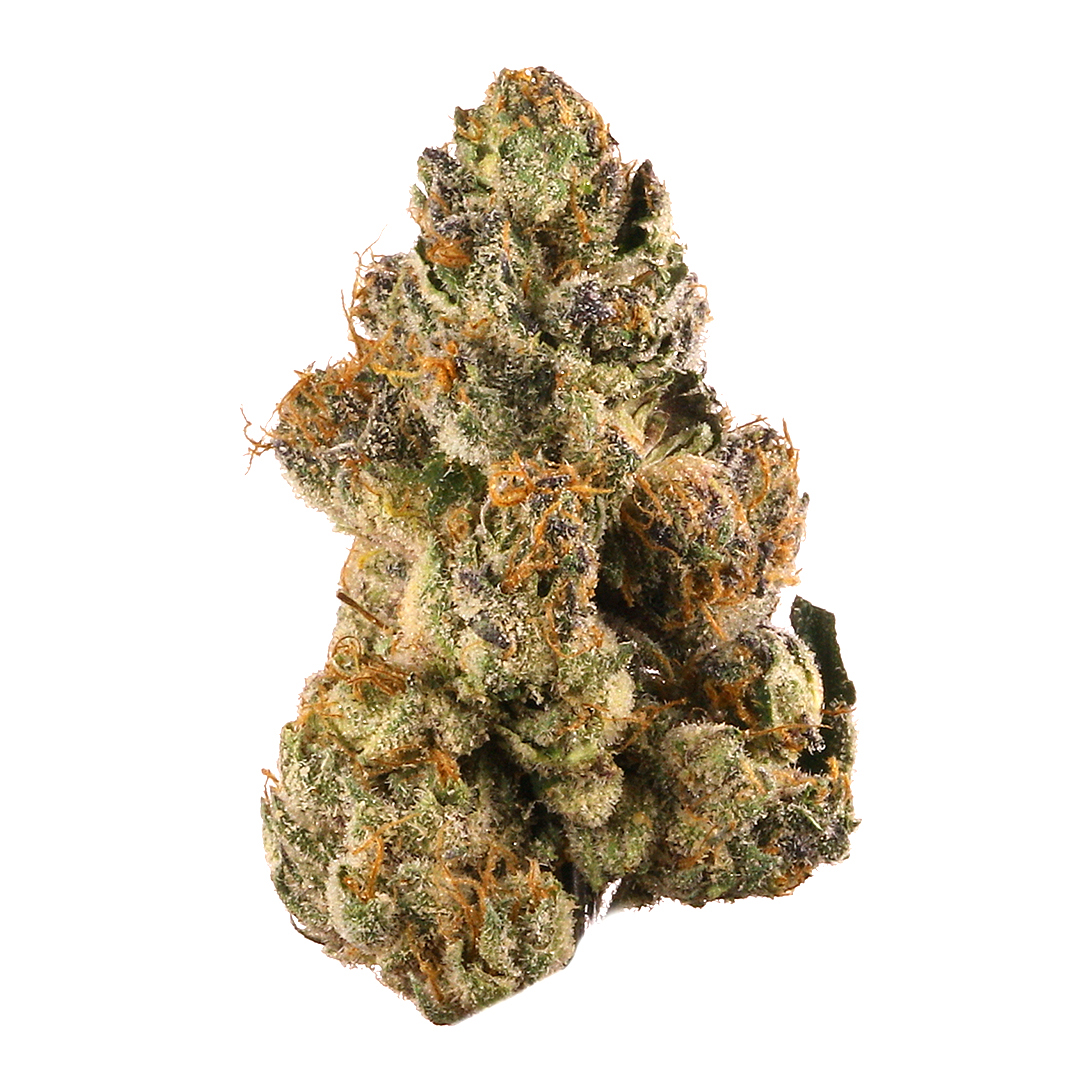 GELATO #33 | BULK FLOWER