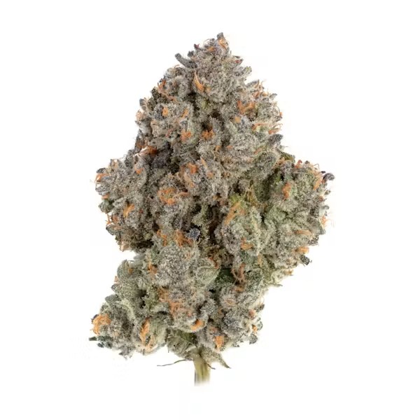 THE CURE COMPANY - PURPLE ZKITTLES | 3.5G FLOWER