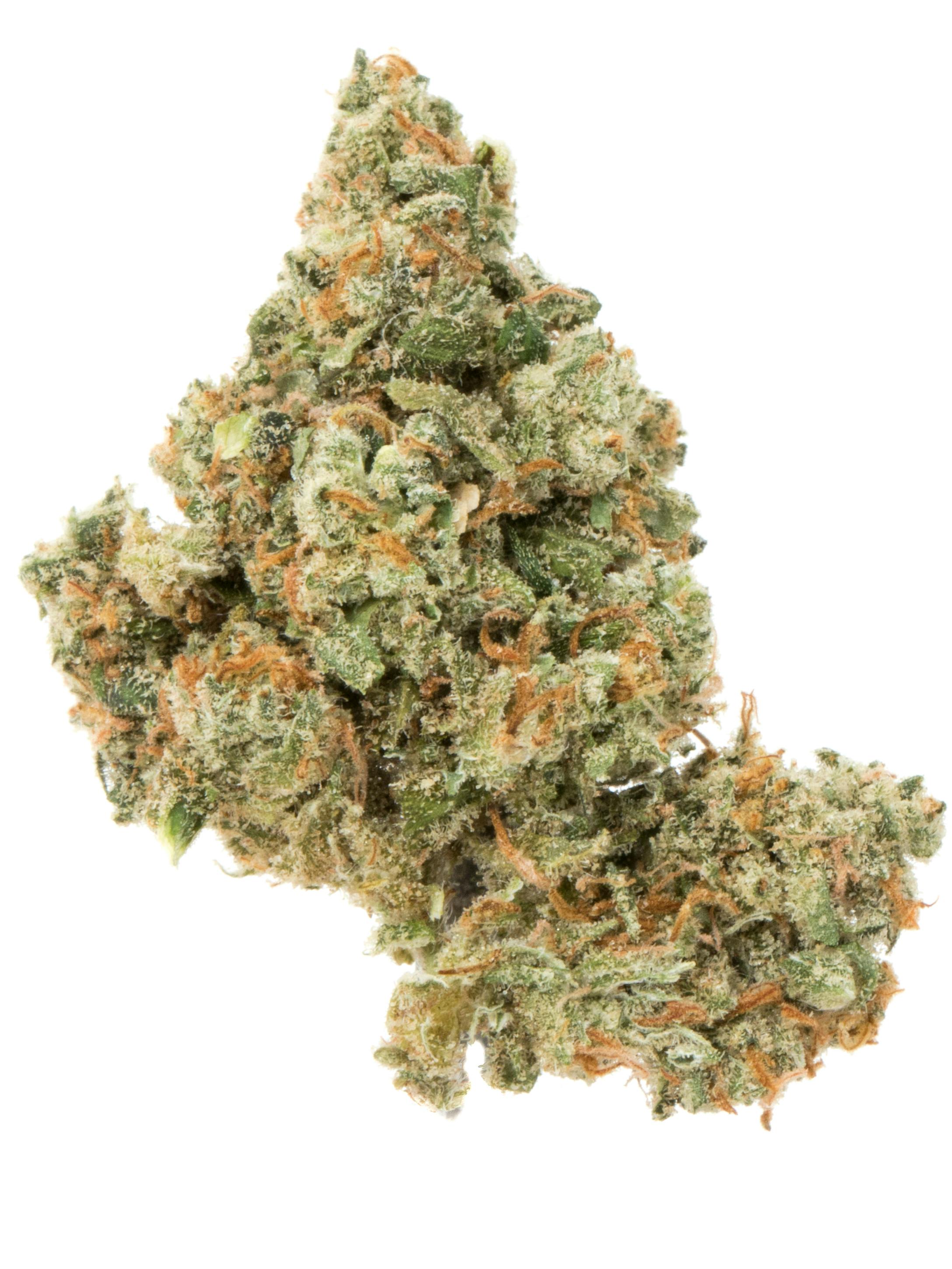JACK HERER | 3.5G FLOWER