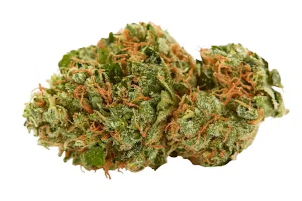 VENUS  | BULK FLOWER