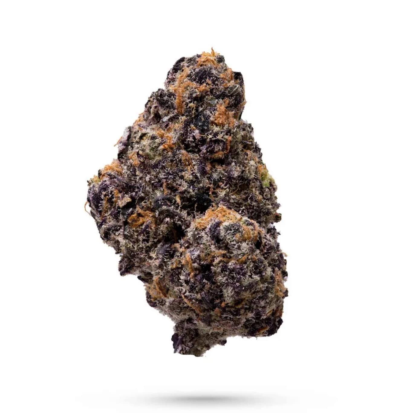 VOODOO | BULK FLOWER