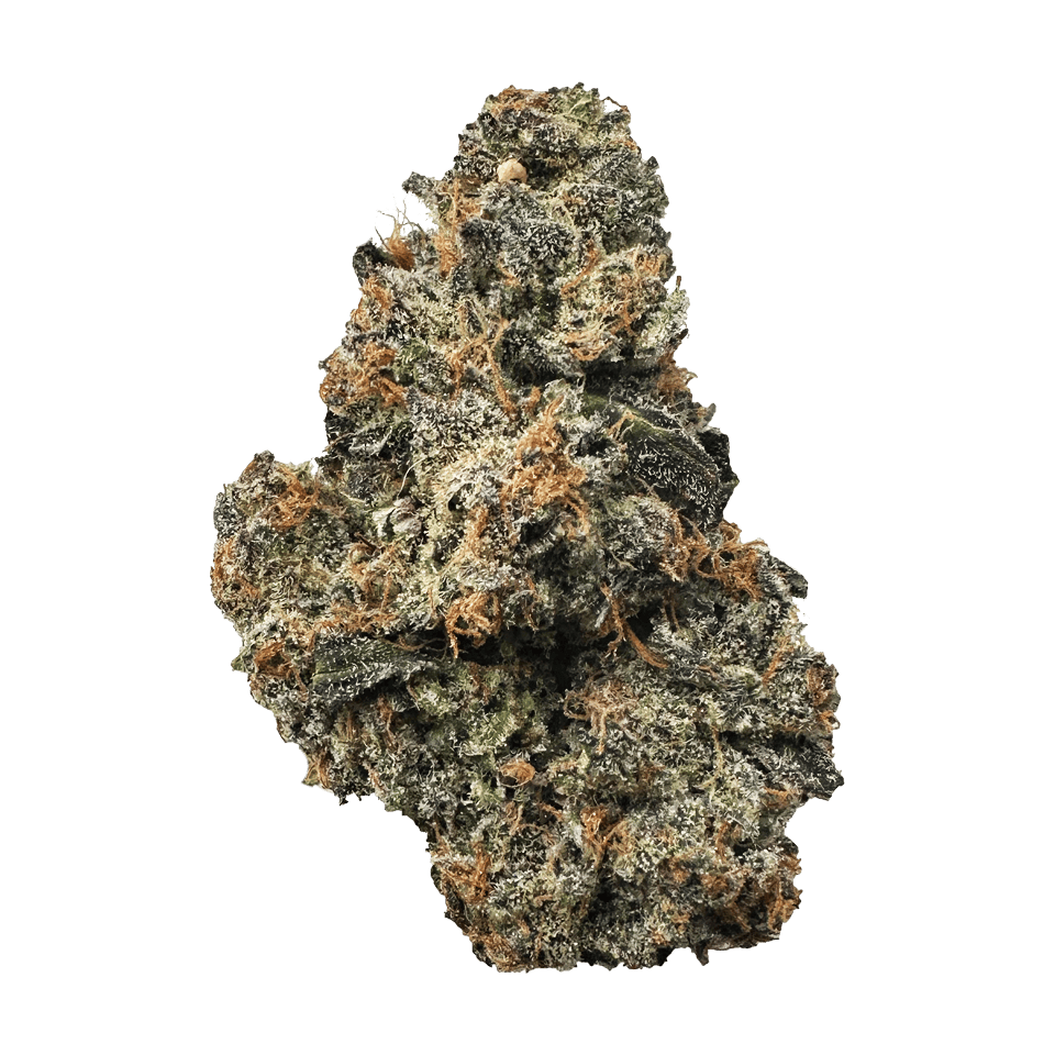 SOUR CRUSH | BULK FLOWER