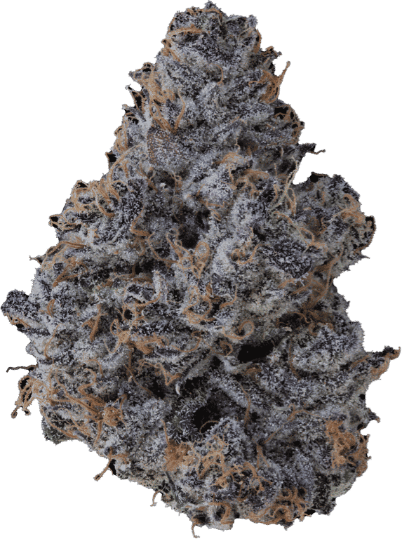ICE CREAM CAKE #2 | 3.5G FLOWER