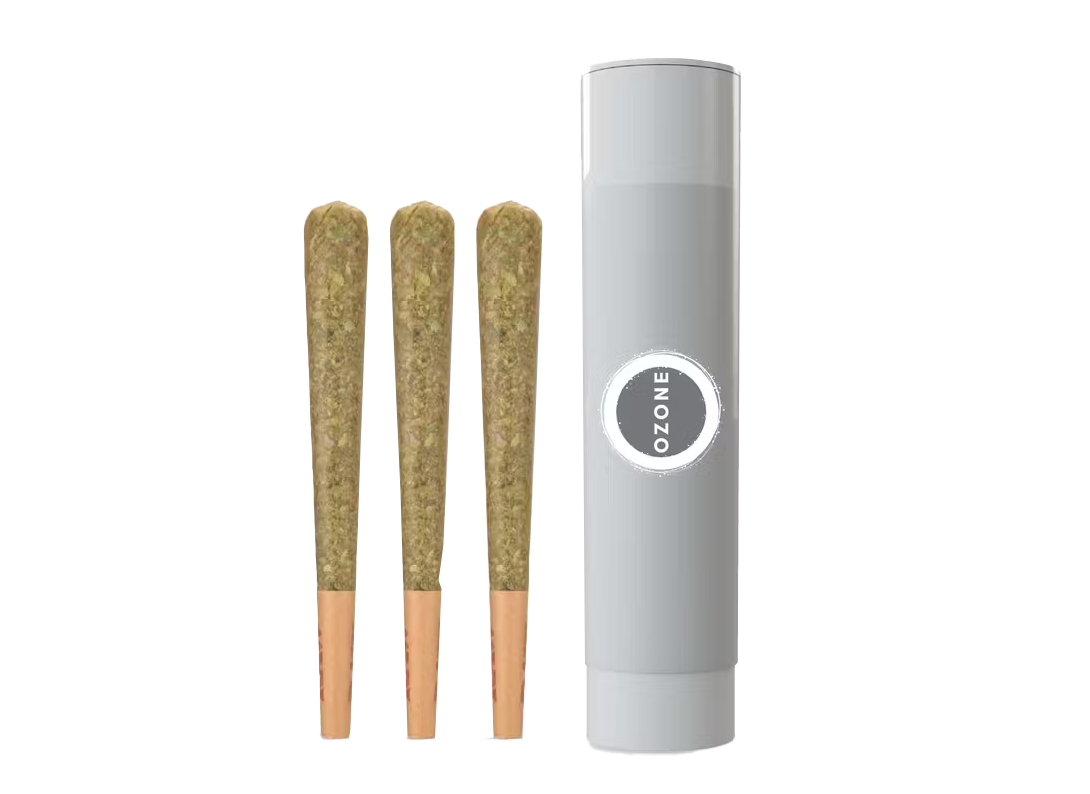 Modified Banana 3 Pack Prerolls 1.5G 