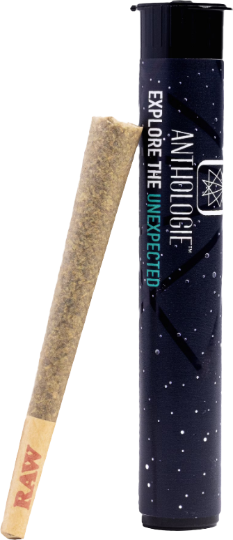 Sour Apricot Preroll 1G