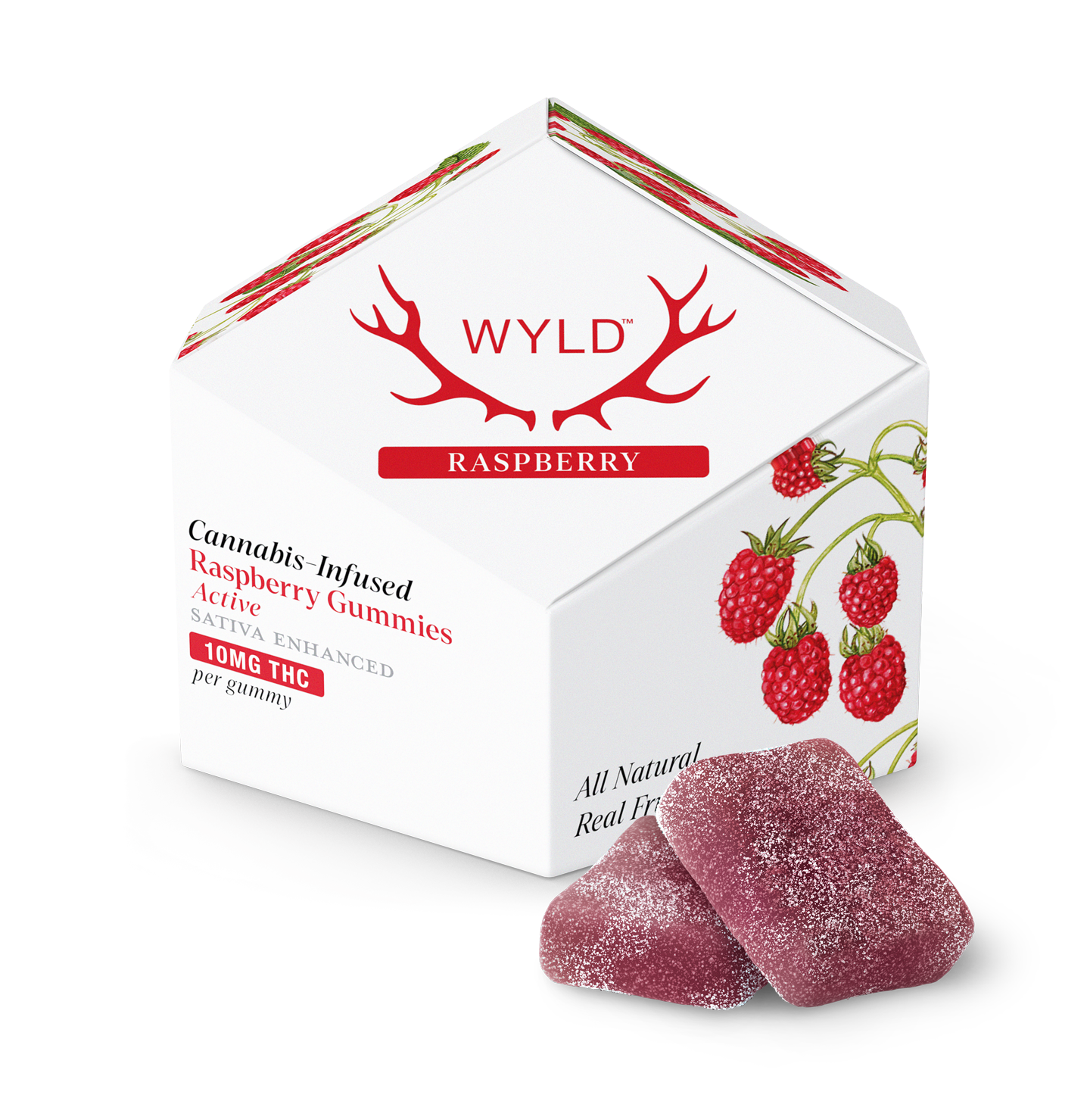 Raspberry Active 10 Pack 100MG