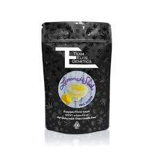 LEMONADE SLUSH (SMALLS) [14 G]