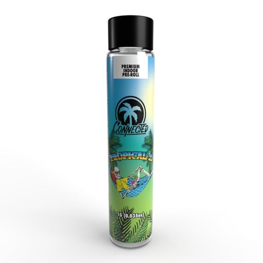 TROPICAL Z CONE [1 G]