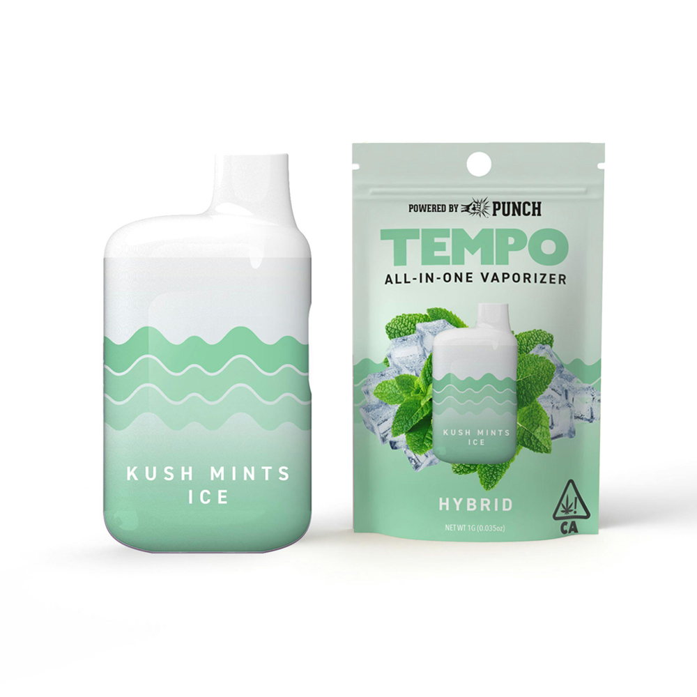 KUSH MINTS ICE ALL-IN-ONE [1 G]