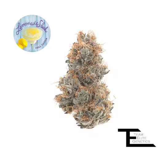 LEMONADE SLUSH [3.5 G]