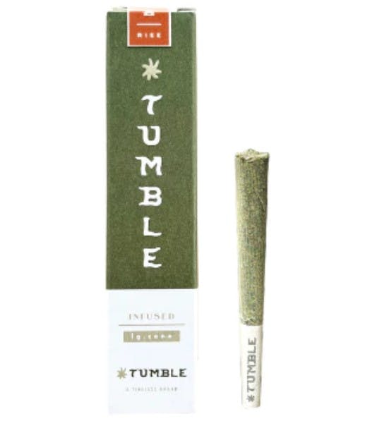 RISE JURASSIC HAZE INFUSED CONE [1 G]