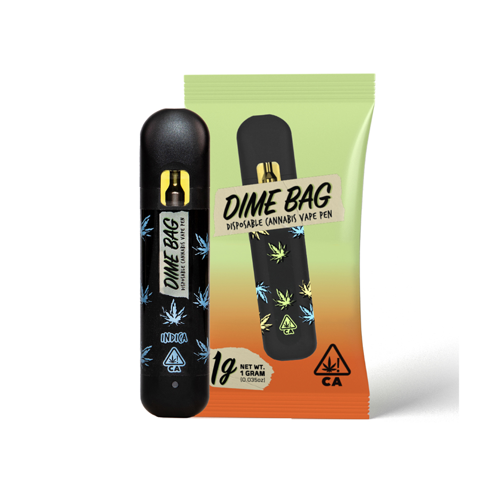 NORTHERN LIGHTS ALL-IN-ONE [1 G]