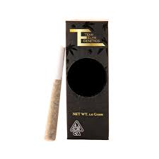 GARBAGE TRUCK CONE [1 G]