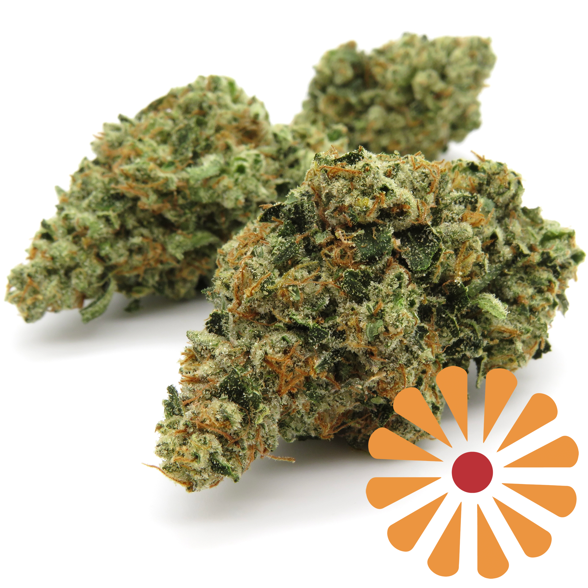 PINEAPPLE EXPRESS