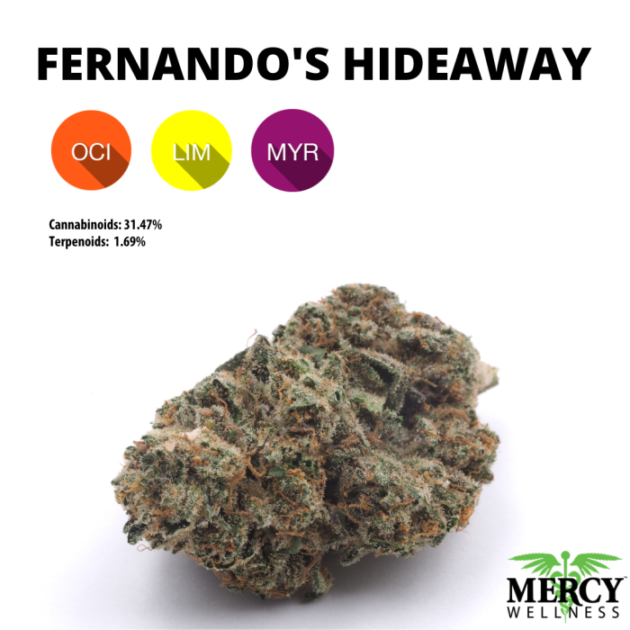 FERNANDO'S HIDEAWAY 1/8 3.5G