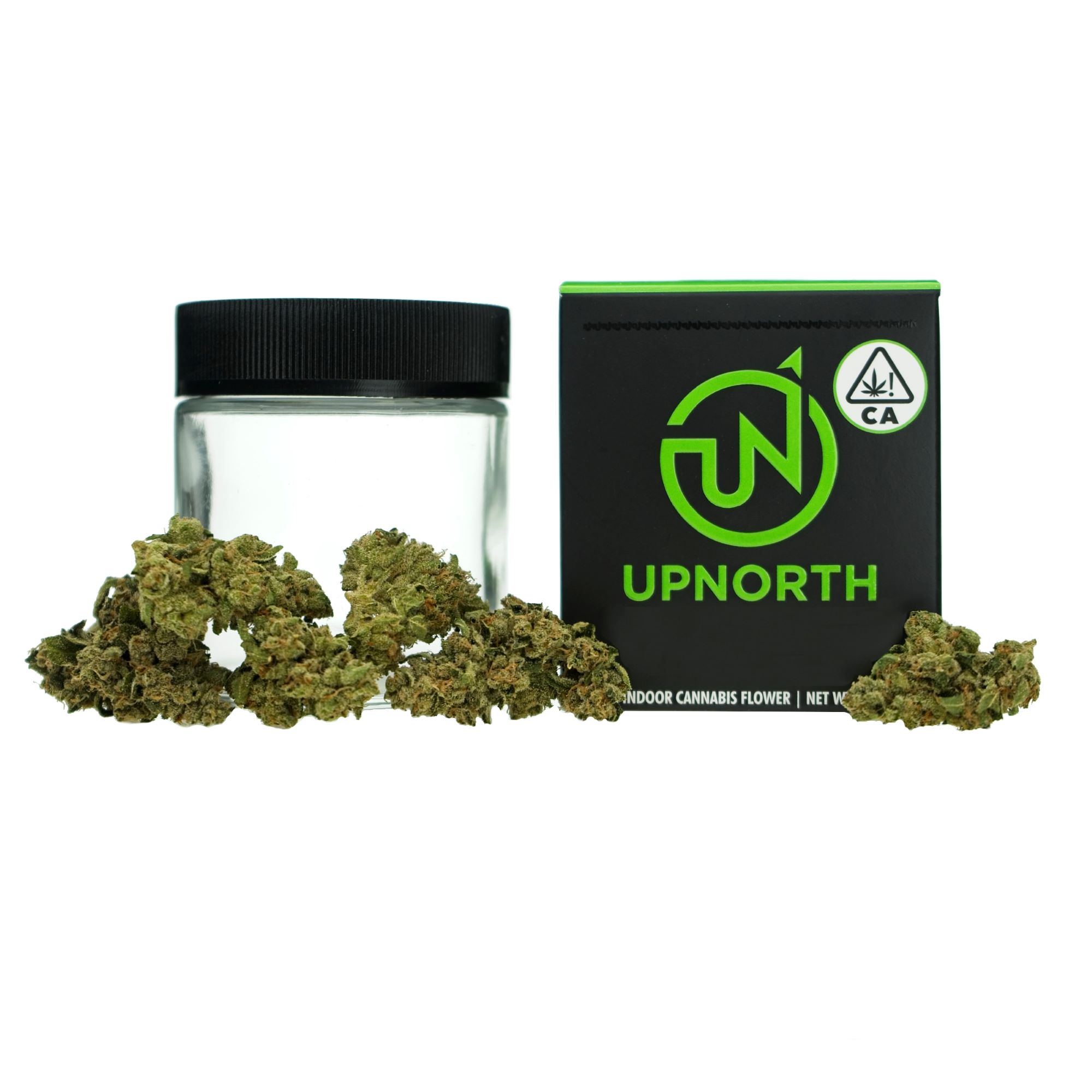 NF1 - EIGHTH