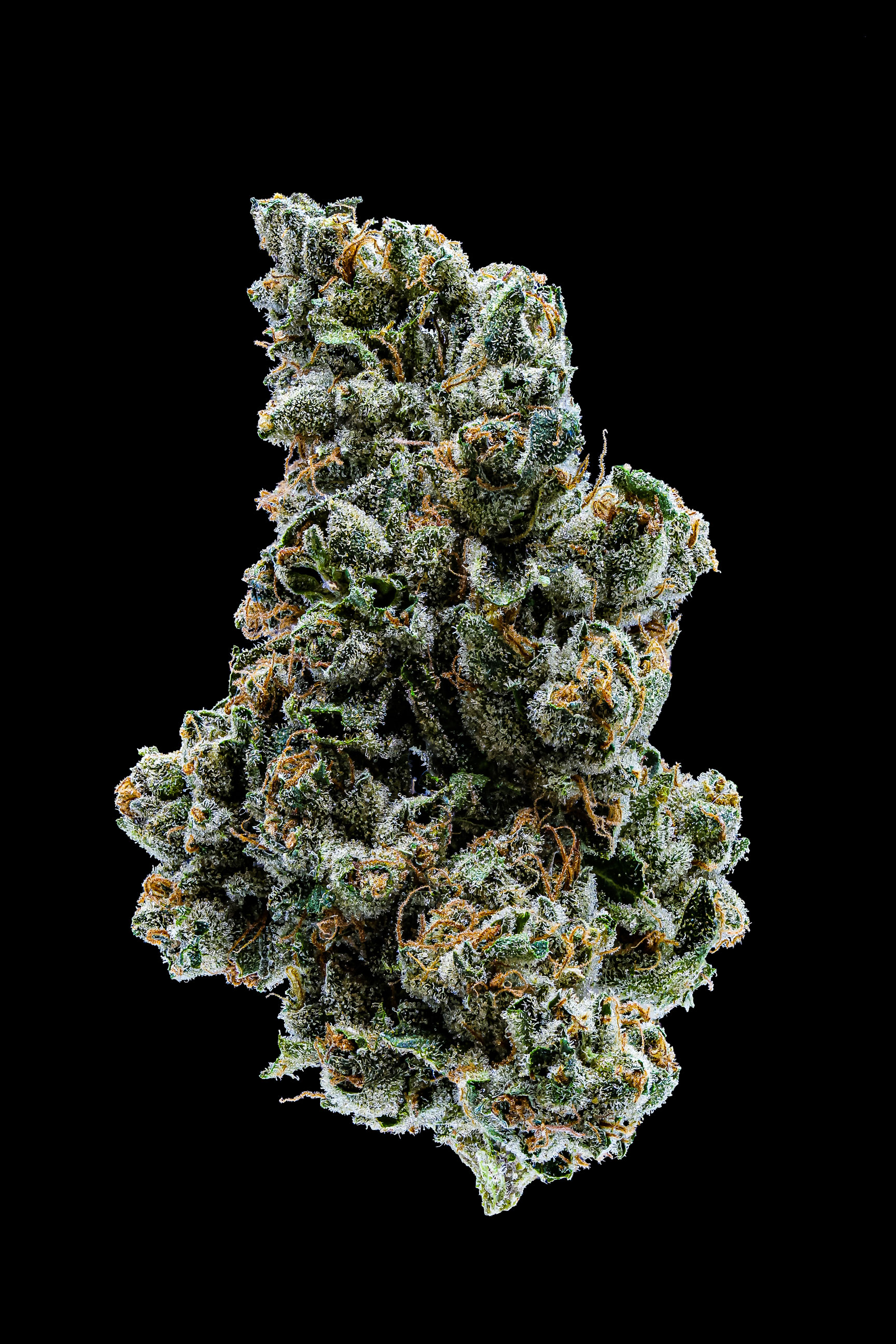 DURBAN POISON - EIGHTH