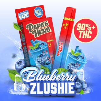 BLUEBERRY ZLUSHIE AIO 1G