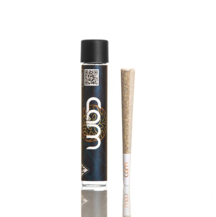 CAM POP PREROLL SINGLE 1G