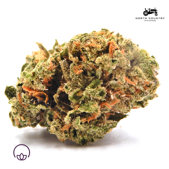 BLUE DREAM SUNGROWN 3.5G
