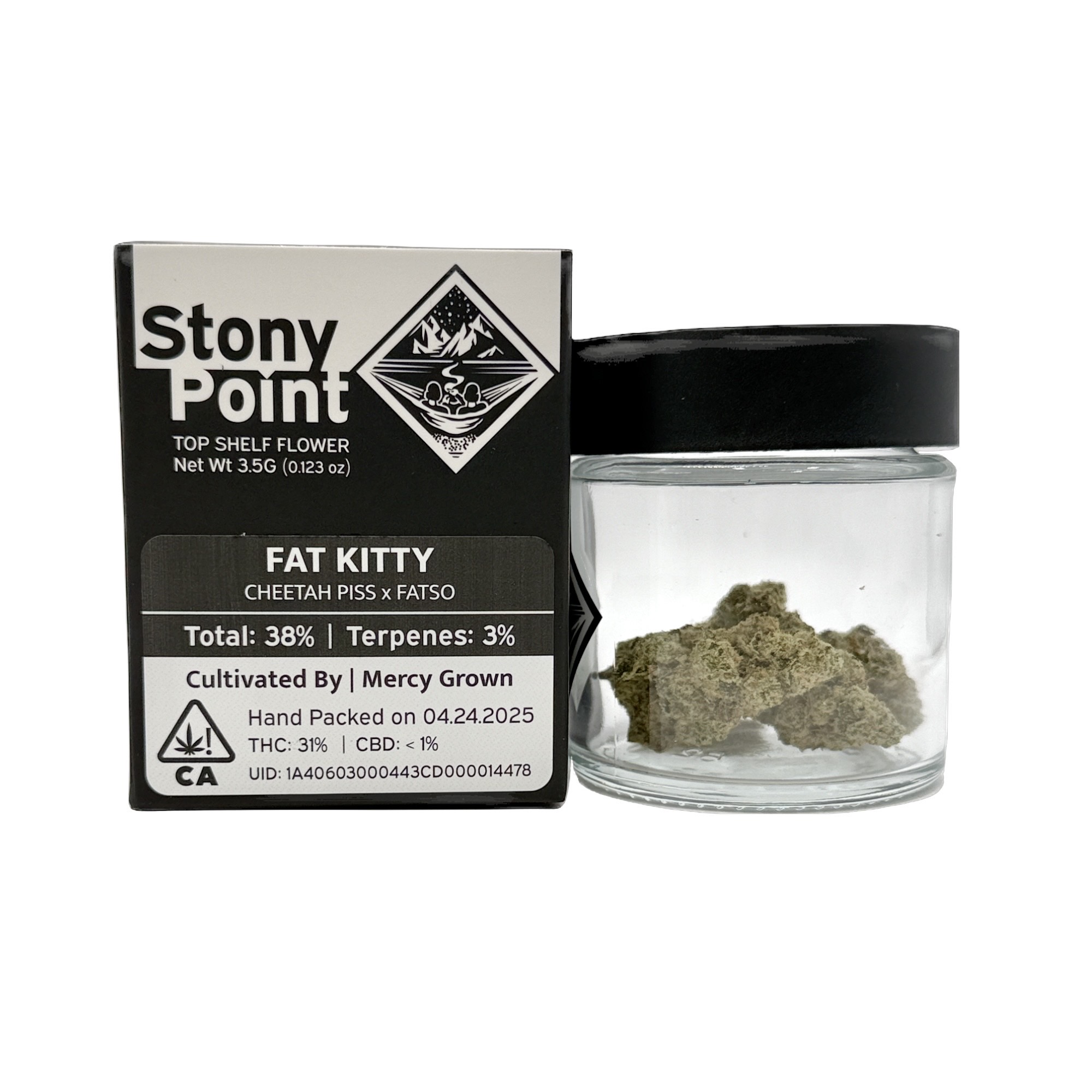 FAT KITTY - EIGHTH