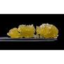 FIRST CLASS FUNK SUGAR 1G