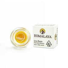 HONEY BANANA LIVE RESIN 1G