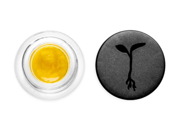NAP NECTAR LIVE SAUCE 1G