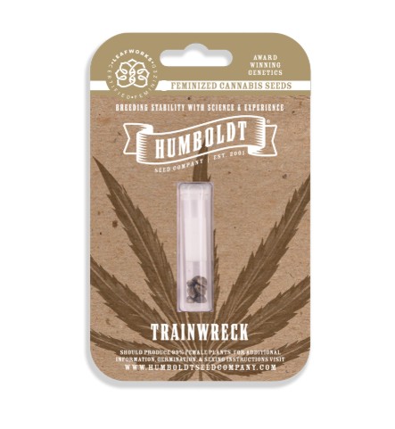 TRAINWRECK FEMINIZED SEEDS 3 PACK
