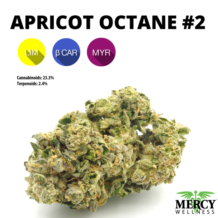 APRICOT OCTANE #2 1/8 3.5G
