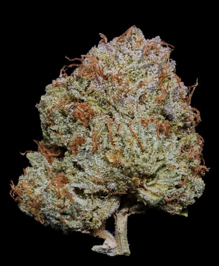 BLUEBERRY SKITTLES 1/8 3.5G